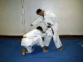 SEI SHIN KAN GOSHIN JUTSU