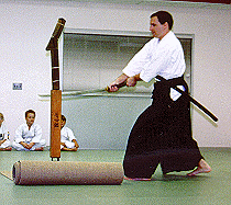 John Viol Dai Shihan Menkyokaiden