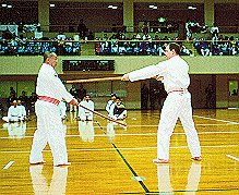 John Viol Dai Shihan Menkyokaiden